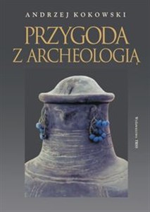 Przygoda z archeologią polish usa