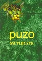 Sycylijczyk online polish bookstore