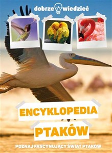 Encyklopedia ptaków Dobrze wiedzieć Poznajesz fascynujący świat ptaków bookstore