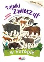 Tajniki zwierząt w Europie Zabawy z kalką - Mirosława Kwiecińska