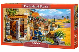 Puzzle 4000 Colors of Tuscany books in polish