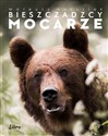 Bieszczadzcy mocarze in polish