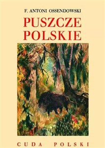 Puszcze polskie  
