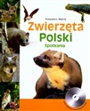Zwierzęta Polski online polish bookstore