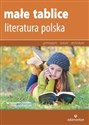 Małe tablice Literatura polska polish usa