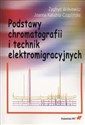 Podstawy chromatografii i technik elektromigracyjnych - Polish Bookstore USA