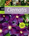 Clematis i inne pnącza ogrodowe buy polish books in Usa