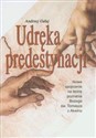 Udręka predystynacji Nowe spojrzenie na teorię poznania Bożego św. Tomasza z Akwinu - Andrzej Gałaj books in polish