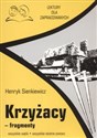 Krzyżacy fragmenty Lektury dla zapracowanych wszystkie wątki wszystkie istotne postacie in polish