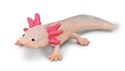 Axolotl  - 
