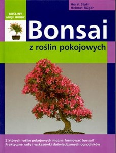 Bonsai z roślin pokojowych polish usa