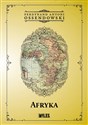 Afryka. Kraje i ludzie - Ferdynand Antoni Ossendowski