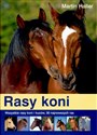 Rasy koni - Martin Haller