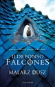 Malarz dusz - Ildefonso Falcones
