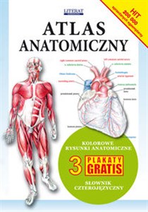 Atlas anatomiczny Kolorowe rysunki anatomiczne. 3 plakaty gratis. Słownik czterojęzyczny buy polish books in Usa