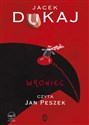 [Audiobook] Wroniec - Jacek Dukaj