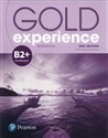 Gold Experience 2ed B2+ Workbook  
