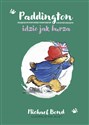 Paddington idzie jak burza to buy in USA