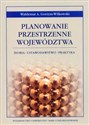 Planowanie przestrzenne województwa Teoria - Ustawodawstwo - Praktyka Bookshop