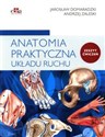 Anatomia praktyczna układu ruchu Ćwiczenia - Jarosław Domaradzki, Andrzej Zaleski chicago polish bookstore