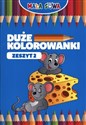 Duże kolorowanki Zeszyt 2 pl online bookstore