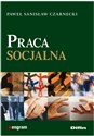 Praca socjalna z osobami w kryzysie bezdomności opuszczającymi jednostki penitencjarne uzależnionymi polish usa