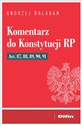 Komentarz do Konstytucji RP Art. 87, 88, 89, 90, 91 books in polish