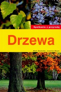 Drzewa Spotkania z przyrodą in polish