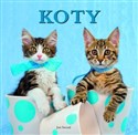 Koty pl online bookstore
