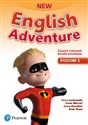 New English Adventure 3 Zeszyt ćwiczeń + DVD wydanie rozszerzone Szkoła podstawowa in polish