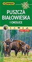 Mapa - Puszcza Białowieska 1: 50 000 BR bookstore