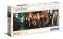 Puzzle Panorama Harry Potter 1000 in polish