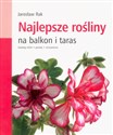 Najlepsze rośliny na balkon i taras - Jarosław Rak