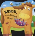 Konik, co od innych stroni polish books in canada