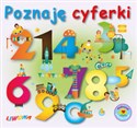 Poznaję cyferki - Sylwia Sokolnicka