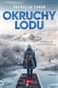 Okruchy lodu pl online bookstore
