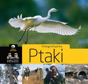 Fotografujemy ptaki in polish