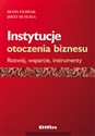 Instytucje otoczenia biznesu Rozwój, wsparcie, instrumenty - Polish Bookstore USA