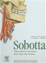 Atlas anatomii człowieka Sobotta Tom 3 - Polish Bookstore USA