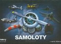 Samoloty w Polsce  Polish Books Canada