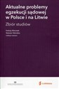 Aktualne problemy egzekucji sądowej w Polsce i na Litwie Zbiór studiów chicago polish bookstore