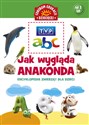 Jak wygląda anakonda Encyklopedia zwierząt dla dzieci  