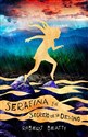 Serafina y el secreto de su destino/ Serafina and the Splintered Heart  