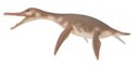 Dinozaur dolichorhynchops  - 