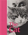 The Cat  polish books in canada