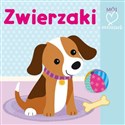 Zwierzaki Pierwsza książeczka polish books in canada