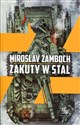 Zakuty w stal Polish bookstore
