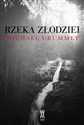 Rzeka złodziei polish books in canada