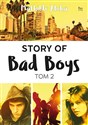 Story of Bad Boys Tom 2 online polish bookstore
