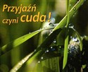 Przyjaźń czyni cuda perełki buy polish books in Usa